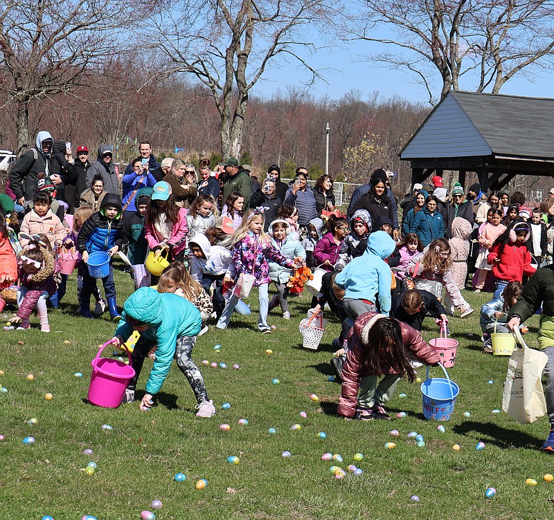 (Credit: All photos by Warrington Township)