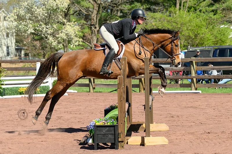Action gets underway at the Farmers Union Horse Company Spring Hunter Derby on Saturday, April 11 at the Heyser Field Riding Ring in Worcester Township. (Photo by Jess Casino Photography)