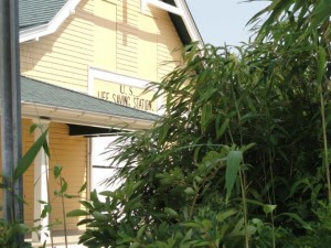 The City of Ocean City's historic U.S. Life Saving Station property at Fourth Street and Atlantic Avenue would be one of the first tests for a potential new bamboo ban on the island.