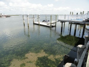 Venetian Bayou Lagoon in Ocean City, NJ