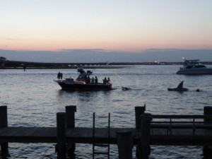 The boat named Moover took top prize in the "Classic" Division with "Jaws."