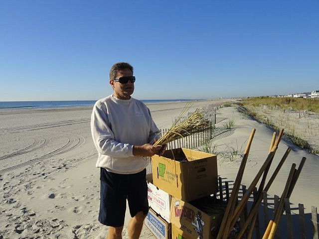 Ken Cooper shows the dune grass used in a volunteer planting effort last Oct.  in OCNJ.