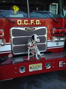 Ocean City Fire Department photo