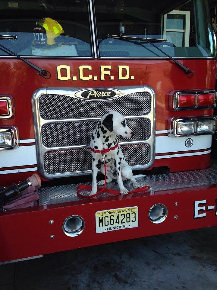 Ocean City Fire Department 