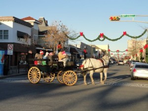 Free horse-and-carriage rides are available noon to 3 p.m. weekends in Ocean City, NJ, leaving from Ninth Street and Asbury Avenue.