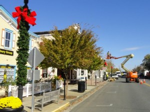 The wrapping of lampposts in garland and bows is a first step in downtown decorating that will include cross-street swags and lights from Sixth Street to 14th Street.