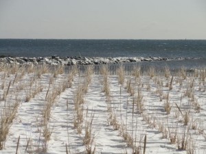 Park Place in Ocean City, NJ