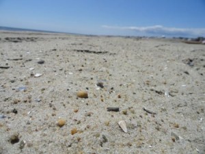 Ocean City NJ beach replenishment project 2015