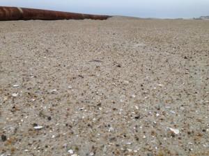 Pebbles and shells mix with sand on the rebuilt beach at 52nd Street on Thursday, June 4.