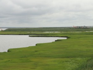 Confined Disposal Facility (CDF) 83 in this view from the 34th Street Bridge.