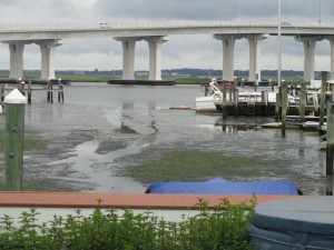 A lagoon without water: Snug Harbor (between Eighth and Ninth street in Ocean City, NJ) at low tide on Friday, June 26.