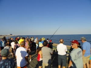 14th Street Pier open house in Ocean City, NJ