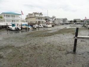 Low tide at Snug Harbor on Thursday, Aug. 27, the day City Council approved spending more than $997,000 to make it six feet deeper.