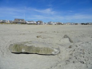 The 59th Street jetty is not entirely buried, after all. A few rocks still protrude from the middle of a high and wide beach.