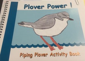 The cover of the Plover Power: Piping Plover Activity Book features student artwork from OCIS.