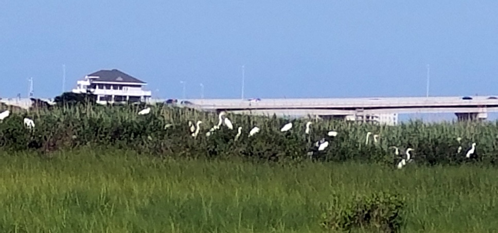 Cowpens Island with the Ocean City Visitors Center in the background.