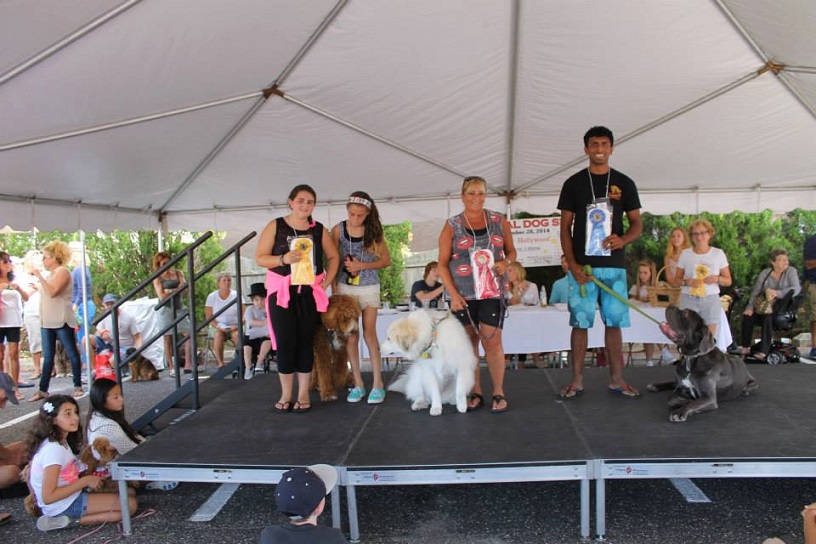 dog-show-4