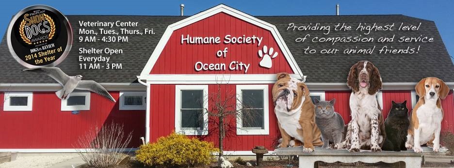 human-society-of-ocean-city-4