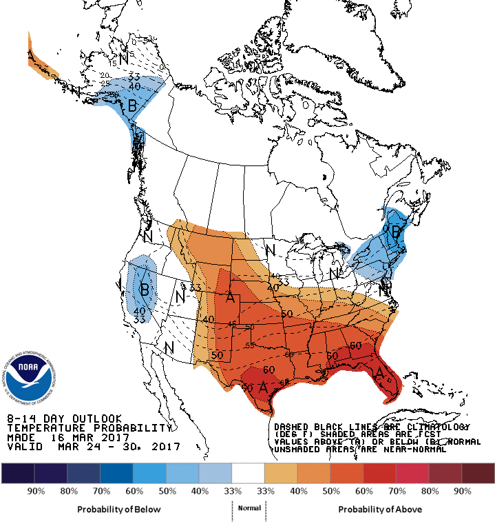 814temp-newnnn