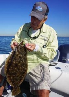 Summer Flounder - Photo Credit : John DeBona