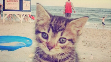 beachcats-4