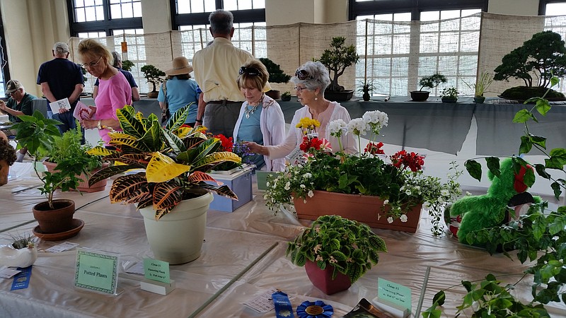 The Ocean City Flower Show is coming up May 31 and runs through June 2 at the Ocean City Music Pier. 