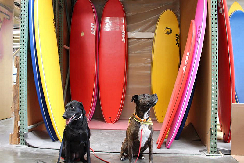 Booker D. Surfdog and Onyx strike a pose.