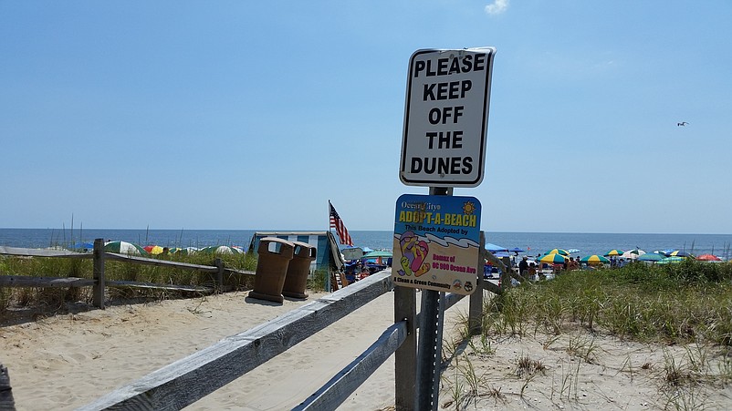 Echoing one of the themes of the Green Fair, a sign leading to the beach stresses the importance of Ocean City's dunes.