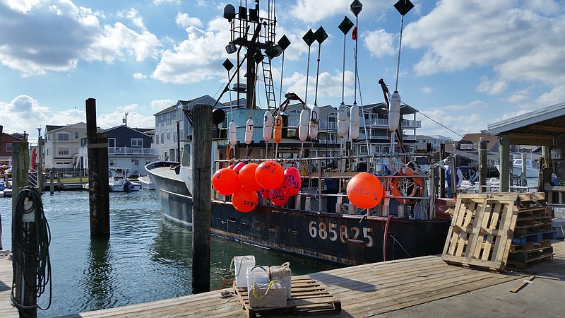 The Burcaw family's commercial lobster boat "Two Dukes" is moored at a lagoon in Sea Isle's historic Fish Alley.