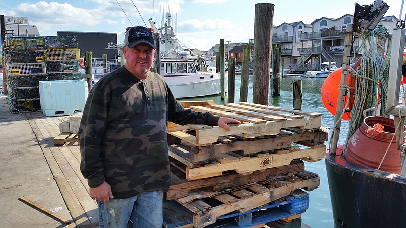 Eric Burcaw Sr. had never before seen a blue lobster in his four decades of commercial fishing out of Sea Isle City.