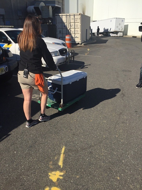 The lobster arrives at its new home Tuesday afternoon at Adventure Aquarium.