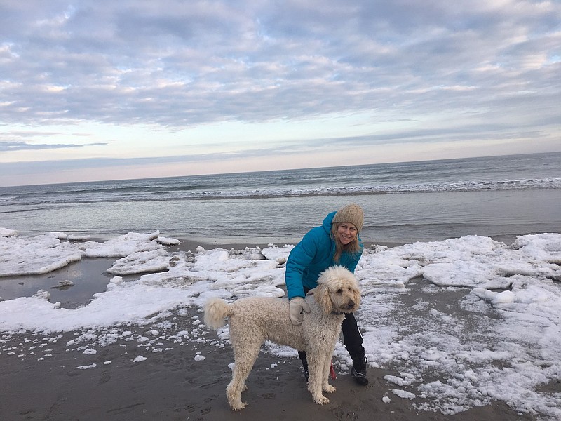 Ocean City resident Jill Nuss and her dog Sunny had an interesting walk on the beach Friday, when they came upon a seal taking a rest.