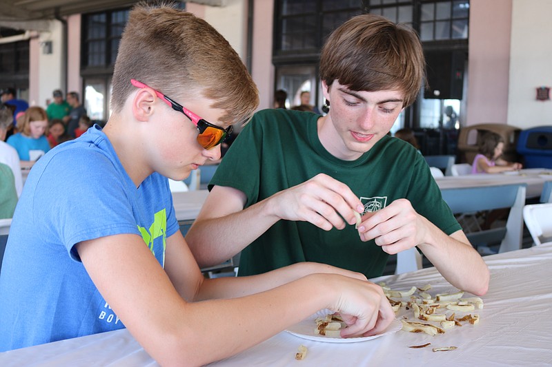 Cousins Joey Dunne, 14, of Randolph, N.J. (left) and Matthew Mulholland, 19, of Ohio, vacationing in Ocean City, are determined to make something amazing.  