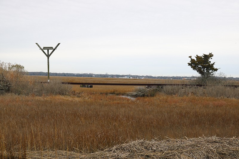 The remains of the steel railroad tracks are visible crossing over the marshlands in the southern end of town.