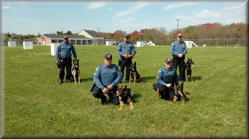 K-9 units from the Cape May County Sheriff's Office conducted the drug sweep. (Photo courtesy of Cape May County Sheriff's Office website)