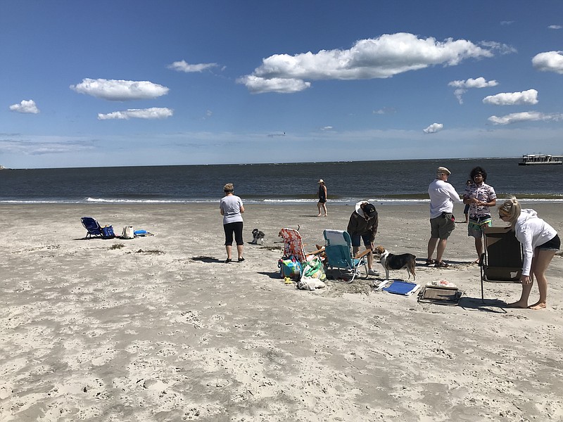 Canines and humans socialize on the nearly mile-long Dog Beach.