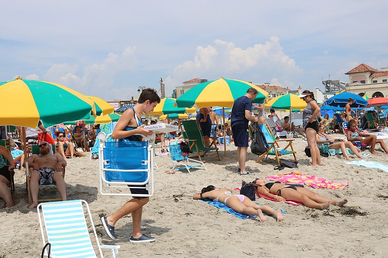 In August of 2019 with East Coast Falcons sending out the birds of prey beach umbrellas were no longer dotted with gulls.