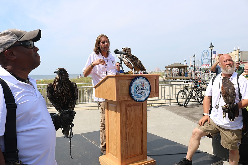 During a news conference Monday, representatives of East Coast Falcons show some of the birds of prey they are using to scare the seagulls.