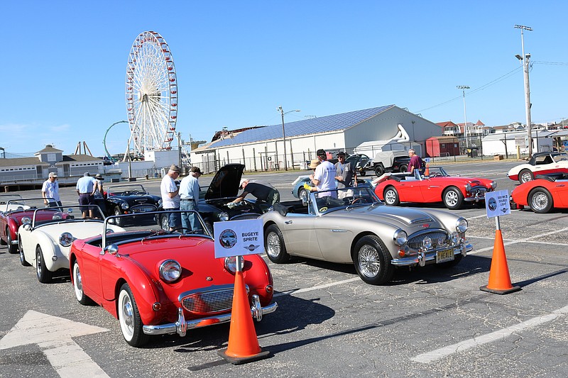 Altogether, 50 Austin-Healeys pull into town for the car show.