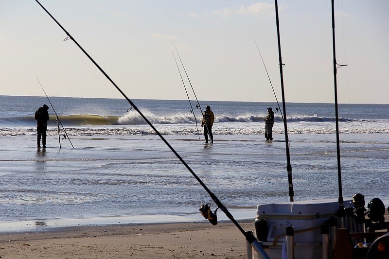 Ocean City Fishing Club's 51st Surf Fishing Tournament is Oct. 26. (Photo courtesy O.C. Fishing Club)