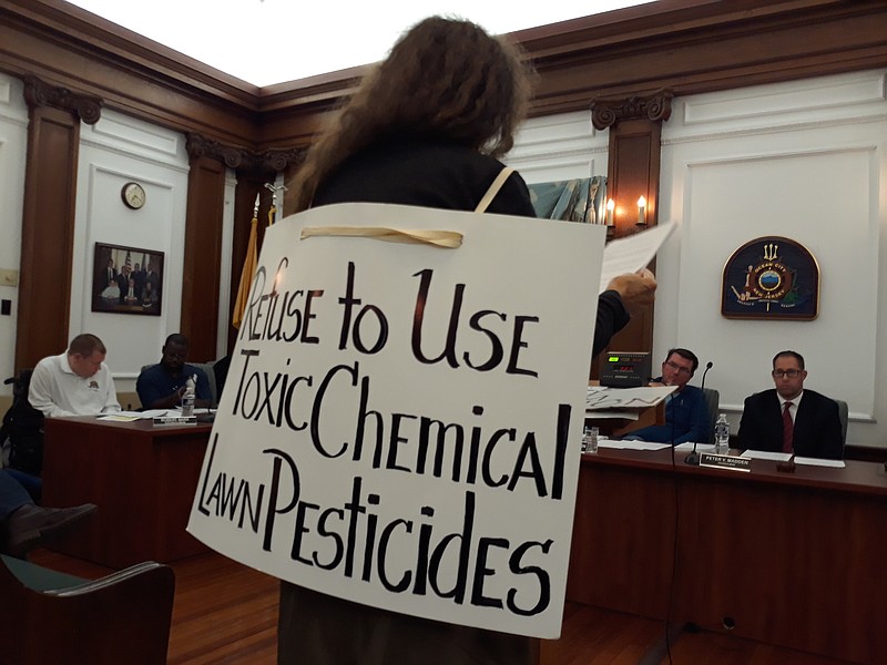 Wearing a sign that warns of the dangers of chemical pesticides, environmental advocate Donna Moore addresses City Council during a previous meeting.