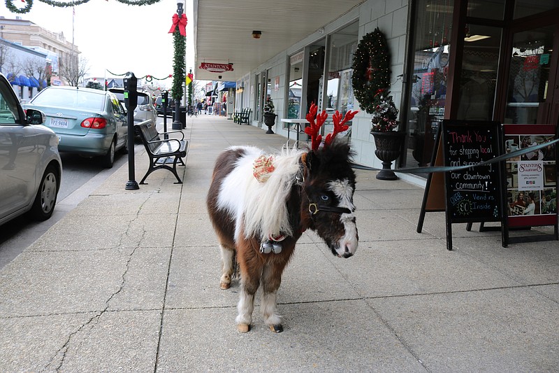 Springsteen may be small in stature, but he is big on heart and holiday spirit.