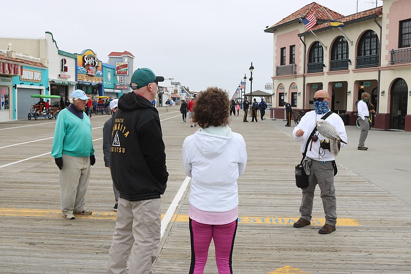 P.J. Simonis, of Wildlife Control Specialists LLC, talks to bystanders on the Boardwalk about Betty, the gyrfalcon perched on his arm.