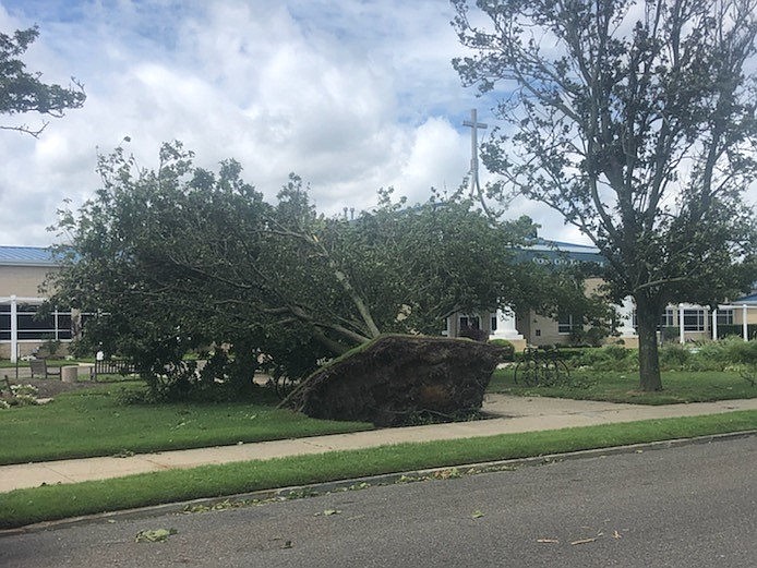 This large tree withstood a lot of storms before Tropical Storm Isaias.