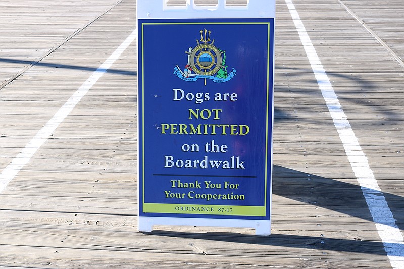 Dogs are allowed on the beach during the off-season, but are banned from the Boardwalk.