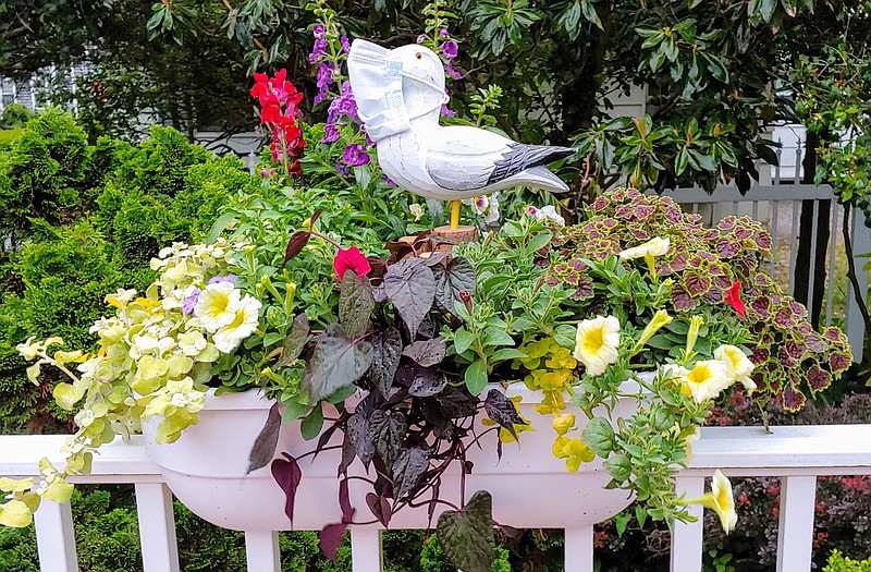 One of the colorful flower boxes created last year during the early stages of the pandemic features a seagull wearing a medical-style mask. (Photo courtesy of Ocean City)