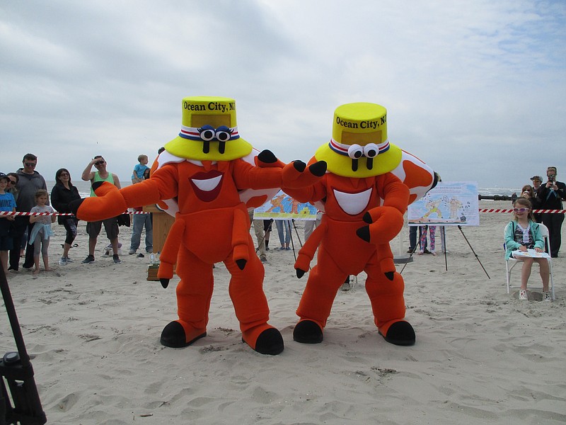 Ocean City hermit crab mascots Martin Z. and Mollie Mollusk hope to predict an early summer.