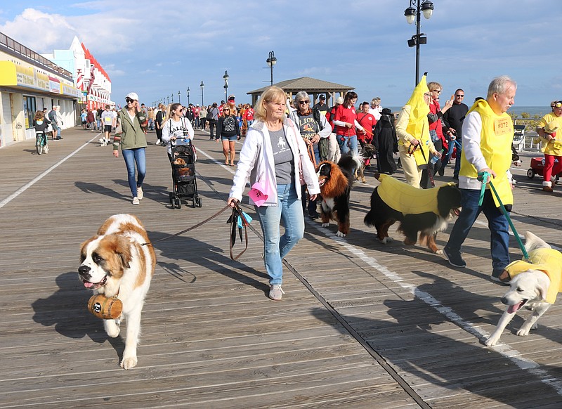 Dogs will march down the Boardwalk for the “Howl-O-Ween” parade Saturday, Oct. 21.