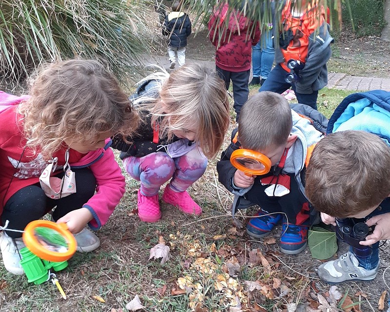 Children use their magnifying glasses to inspect nature. 