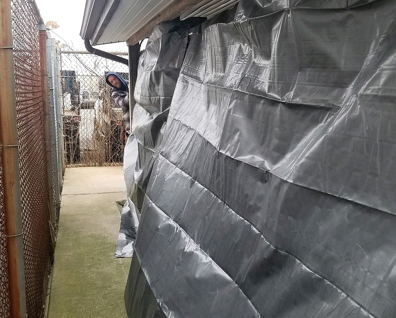 George Muller, an assistant shelter manager, peers around the runs he helped tarp for added protection.